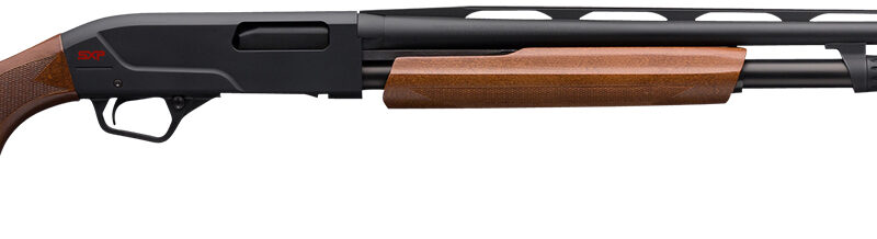 Winchester Repeating Arms 512266691 SXP Field 20 Gauge 26" 5+1 3" Matte Blued Rec/Barrel Satin Walnut Stock Right Hand (Full Size) Includes 3 Invector-Plus Chokes