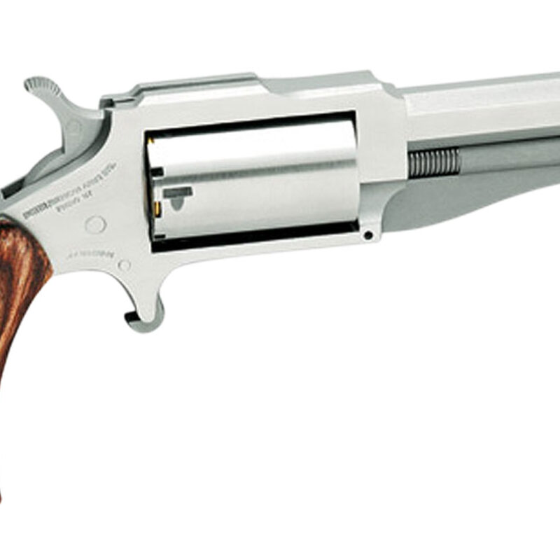 North American Arms 18603 1860 The Earl 22 WMR 5rd 3" Barrel, Overall Stainless Steel Finish & Rosewood Boot Grip
