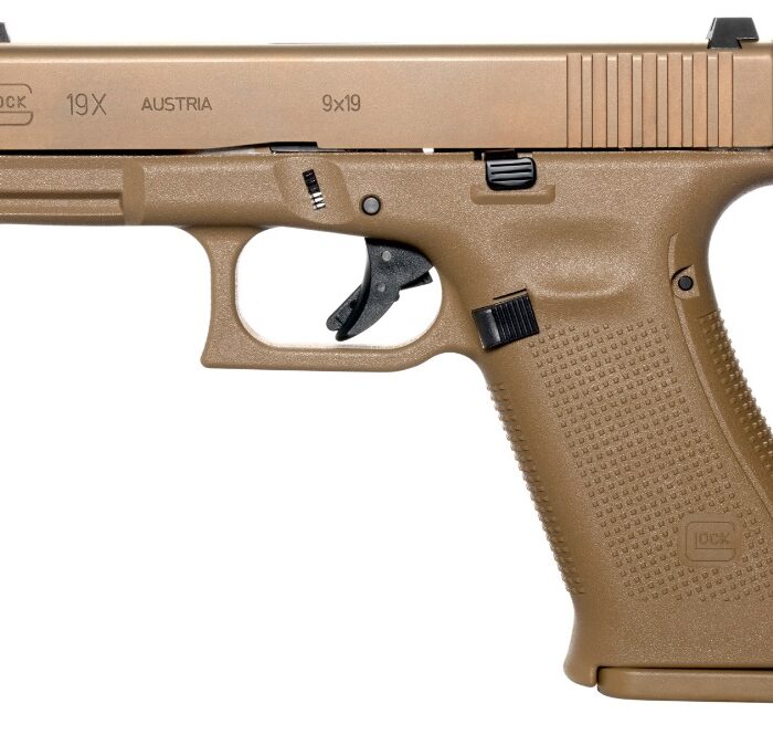 GLOCK G19X G5 9MM 19+1 4.0" FDE GNS
