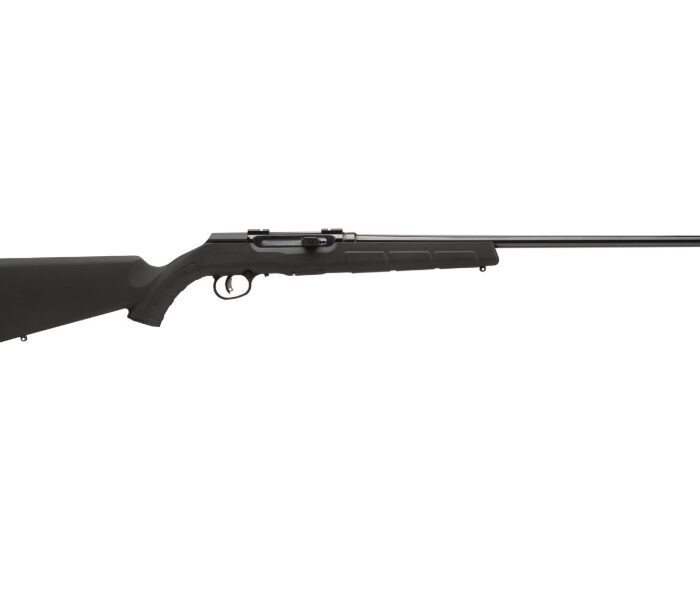 SAVAGE ARMS A17 17HM2 BL/SYN 22" 10+1 AT