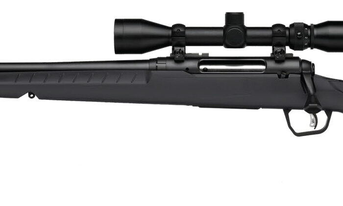 SAVAGE ARMS AXIS 2 22-250 BL/GRY PKG LH