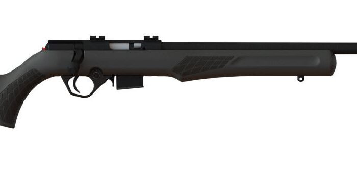 ROSSI RB17 17HMR BLK/SYN 21" 5+1