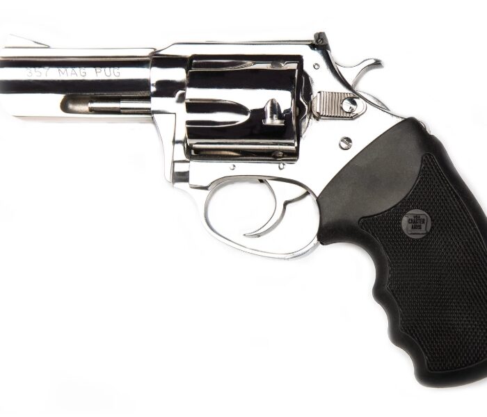 CHARTER ARMS CHARTER MAG PUG 357 POLISH 3"