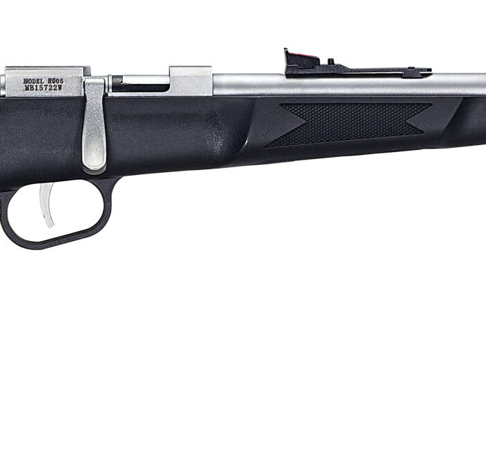 HENRY REPEATING ARMS MINI BOLT 22LR SS/SYN