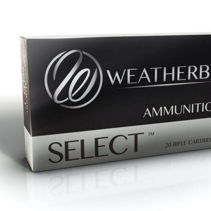 6.5-300 Wby Mag 140 gr Soft Point