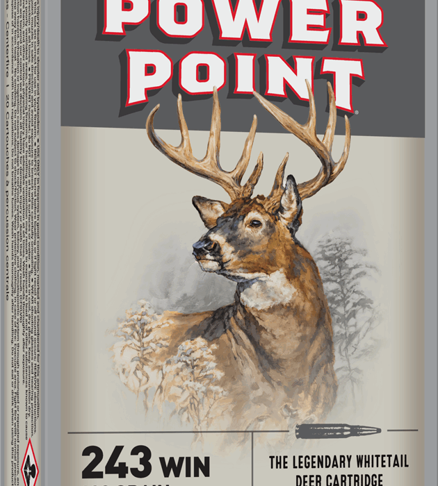 WINCHESTER SPR-X 243WIN 100GR PP