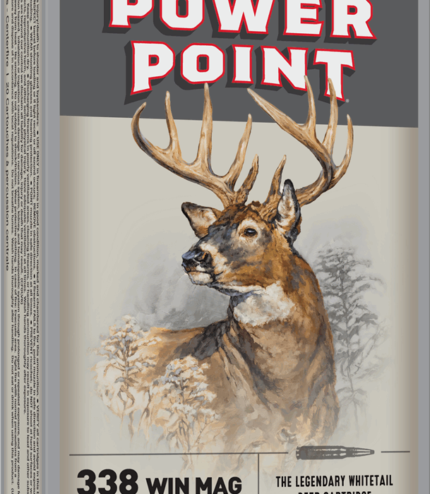 WINCHESTER SPR-X 338 200GR PP