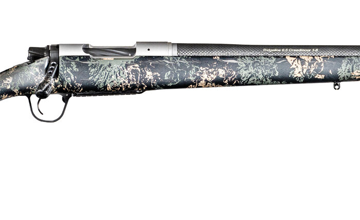 CHRISTENSEN ARMS RIDGELINE FFT 6.8WST CB/GN20"#