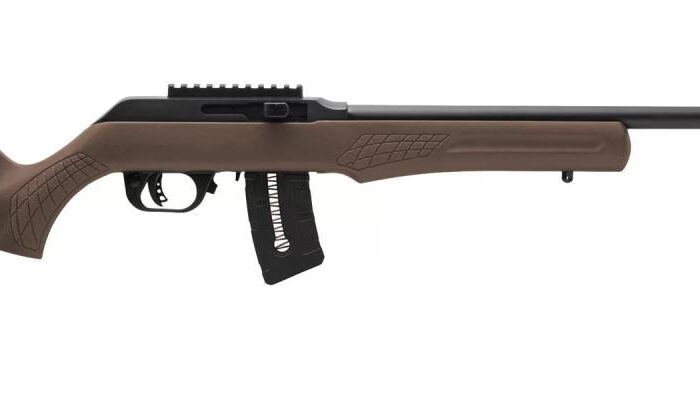 ROSSI RS22 22MAG BLK/BROWN 21" 10+1