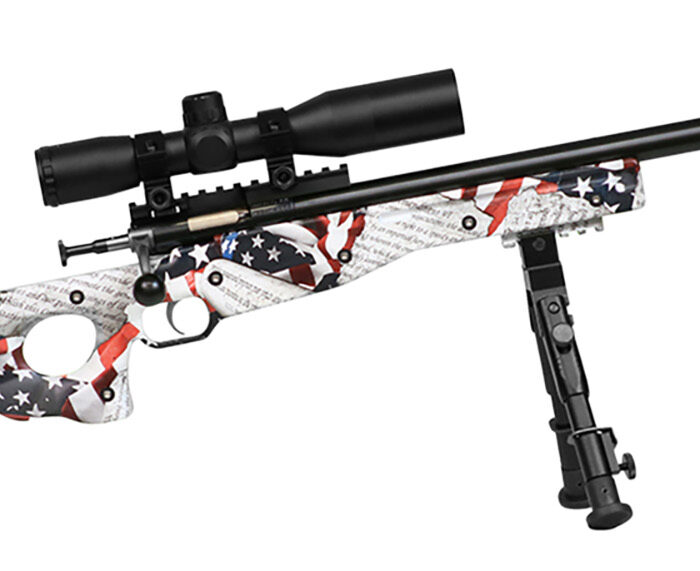 Crickett KSA2153 Precision Complete Package 22 LR 1rd 16.12" Blued American Flag & Amendment Fixed Thumbhole Stock Right Hand (Youth)