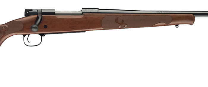 Winchester Guns 535200217 Model 70 Featherweight 243 Win Caliber with 5+1 Capacity, 22" Barrel, Brushed Polish Blued Metal Finish & Satin Walnut Fixed Feather Checkered Stock Right Hand (Full Size)