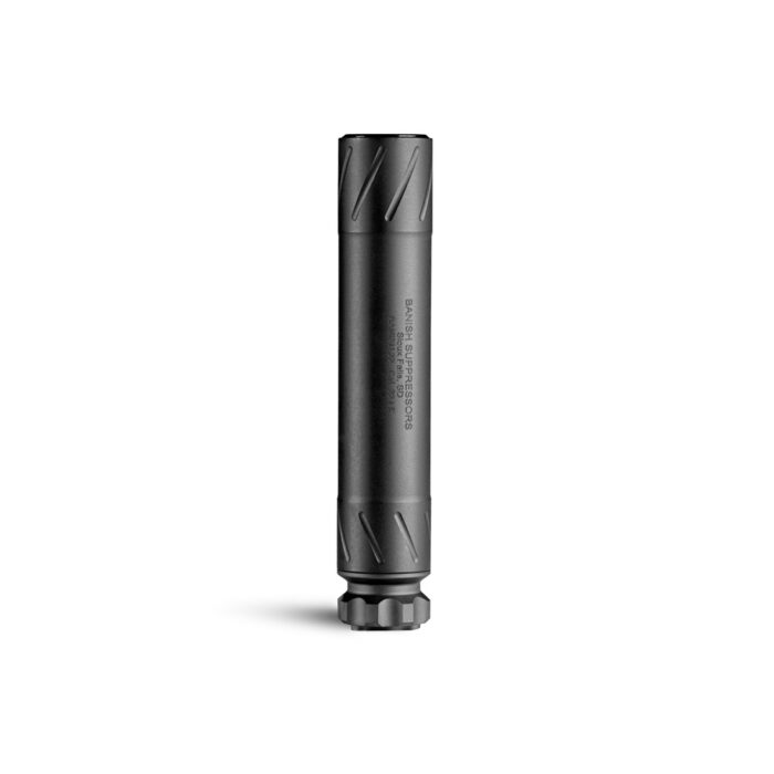BANISH 22 22LR BLK