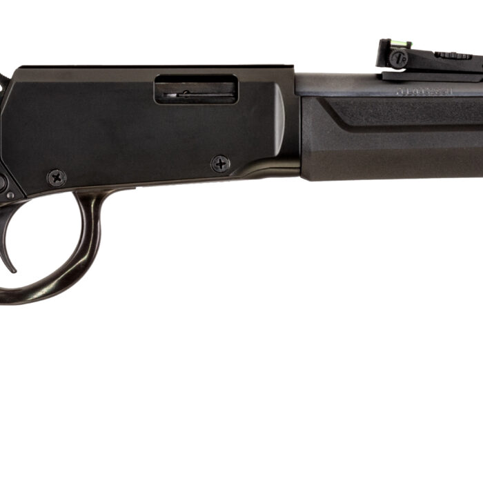 ROSSI RIO BRAVO 22WMR BK/SY 20" 12+1