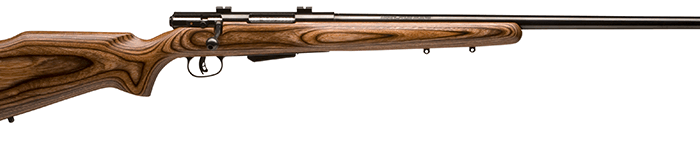 SAVAGE ARMS 25LV 17HORNET BL/LAM DBM