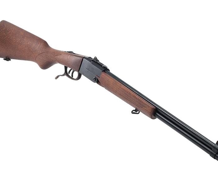 CHIAPPA DBL BADGER 410/22LR SHTGN