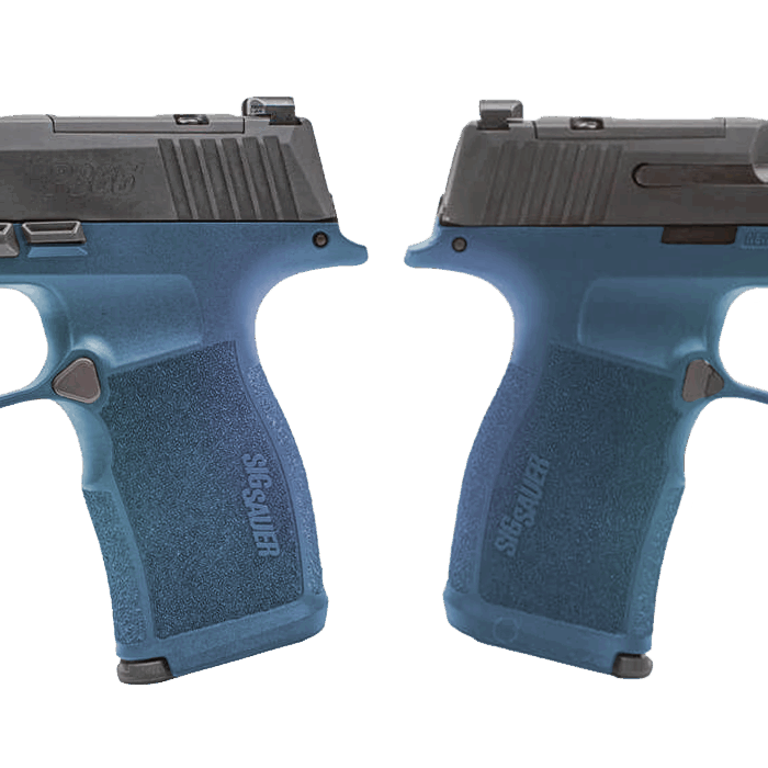 SIG SAUER P365X TYPHOON 9MM PSTL 3.1" BBL 2-12RD MAGS, OPTC PLTE COVER