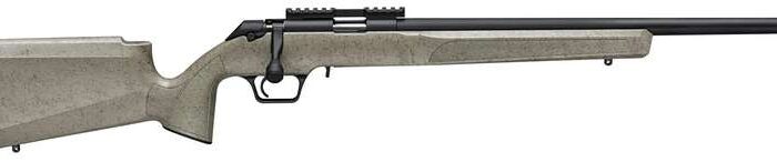 SPRINGFIELD ARMORY MODEL 2020 RF TARGET 22LR SAGE BLK WEB 1-10RD