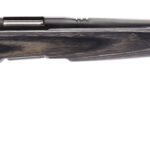 Savage Arms 96971 B.MAG Sporter Full Size 17 WSM 8+1 22" Matte Black Sporter Barrel, Matte Black Drilled & Tapped Carbon Steel Receiver, Gray Fixed Laminate Stock, Right Hand 2 4436
