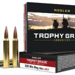 Nosler 60126 Trophy Grade Long-Range 300WinMag 190gr Nosler Spitzer AccuBond Long Range 20 Per Box/10 Case 1 88245