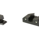 XS R3D 2.0 SIGHT S&W BODYGUARD 2 ORG 1 XSSW R209S 6N 1