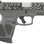 grayzebraa5c3