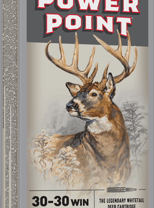 WINCHESTER SUPER X POWER POINT 30-30WIN 170GR 20RD BX 200RD CASE