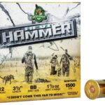 HEVI-SHOT HEVI-HAMMER 12GA 3IN 1-1/4OZ BB 25 RD/BX 10 BX/CS 2 image full 7905 44be56675368527ccd63806373b097ac