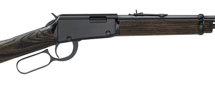 Henry H001GG Garden Gun Smoothbore Full Size 22 LR/Shotshell 15+1 18.50" Smooth Bore Barrel, Black Metal Finish, Black Ash Stock Right Hand