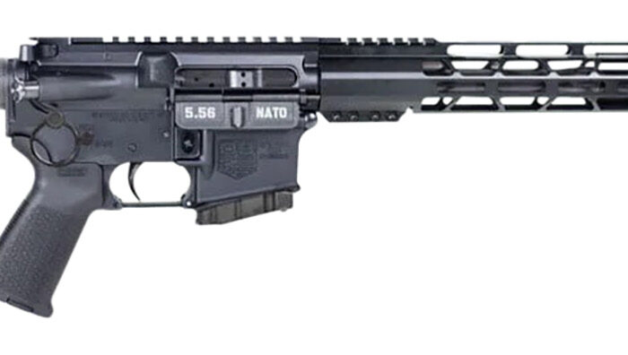 Diamondback DB1790K001 DB15 *CA Compliant 5.56x45mm NATO 10+1 16", Black, Adjustable Magpul MOE Carbine Stock, MOE Grip, 12" M-LOK, Fixed Magazine Lock & Release