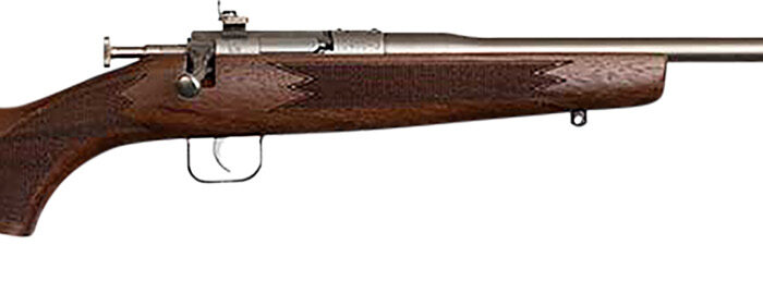 Chipmunk 10002 Deluxe The Original Youth Deluxe Single Shot 16.10" Satin Tapered Barrel, Satin Stainless Steel Receiver, Fixed American Walnut Stock, EZ Loader