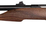 Chipmunk 40001 Hunter Youth Frame 22 S/L/LR Single Shot 9" Threaded Blued Steel Barrel, Walnut Frame, EZ Loader 2 167613