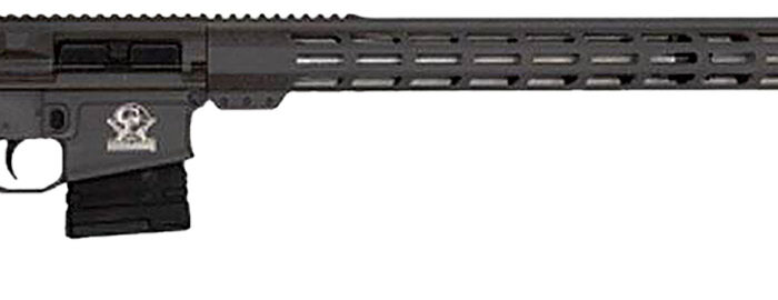 Great Lakes Firearms GL10243SSTNG GLFA  243 Win 5+1 24" Stainless Threaded Barrel, Tungsten Cerakote Picatinny Rail Aluminum Receiver, Adjustable Black Synthetic Stock, Mil-spec Polymer Grip
