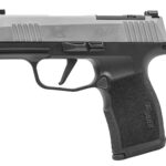 Sig Sauer 365X9SXR3P P365X Micro-Compact Frame 9mm Luger 12+1 3.10" Steel Barrel, Stainless Steel Optic Ready/Serrated Slide, Black Stainless Steel Frame w/Accessory Rail, Polymer Grip 2 183885