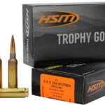 HSM 65X284140VLD Trophy Gold Extended Range 6.5x284 Norma 140 gr Berger Hunting VLD Match 20 Per Box/ 20 Case 2 82190