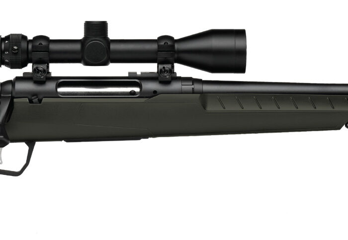 SAVAGE ARMS AXIS 2 308WIN BL/GRN 22" PKG