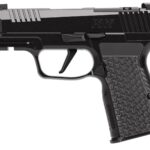 SIG SAUER P365 AXG COMP LUXE 380ACP 12+1 1 p365axgluxea269