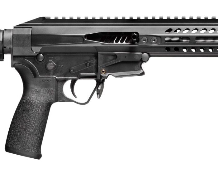 POF USA PSG .22LR PISTOL 8" BLK BRACE