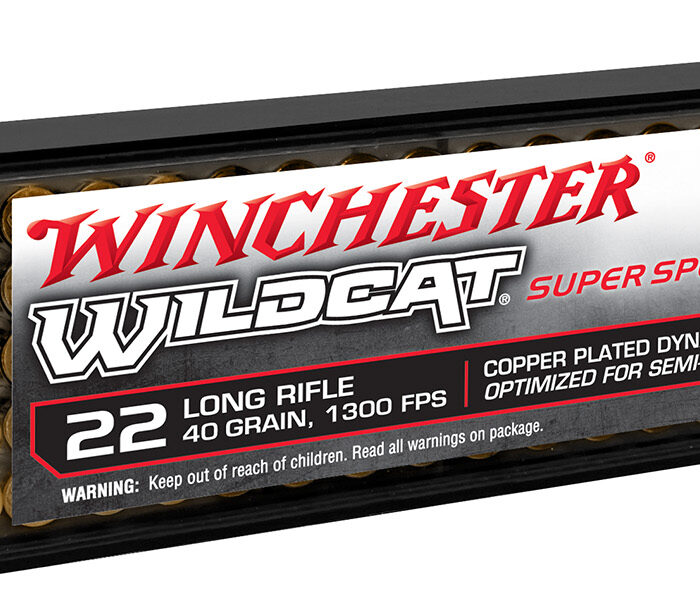 Winchester Ammo WW22LRSSD Wildcat Super Speed 22LR 40gr Copper Plated DynaPoint 100 Per Box/20 Case