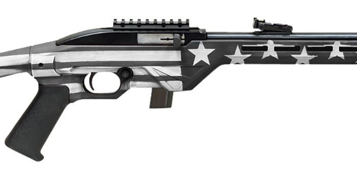 Citadel CIT22LRBUSG Trakr 22 LR 10+1 18" Blued Steel Threaded Barrel & Receiver, Gray Flag Synthetic Stock
