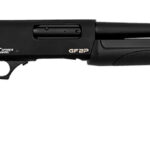 GFORCE GF2P12 12GA 20IN CB PICT RAIL GRY 7+1 1 156779