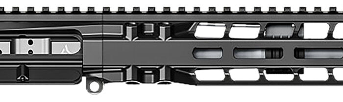 Radian Weapons R0027 Model 1 Complete Upper 300 Blackout 9" Black Nitride Barrel