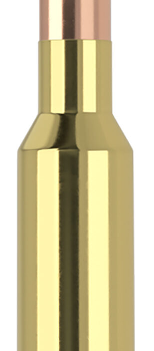 Nosler 61053   6.5x55Swedish 140gr Ballistic Tip 20 Per Box/10 Case