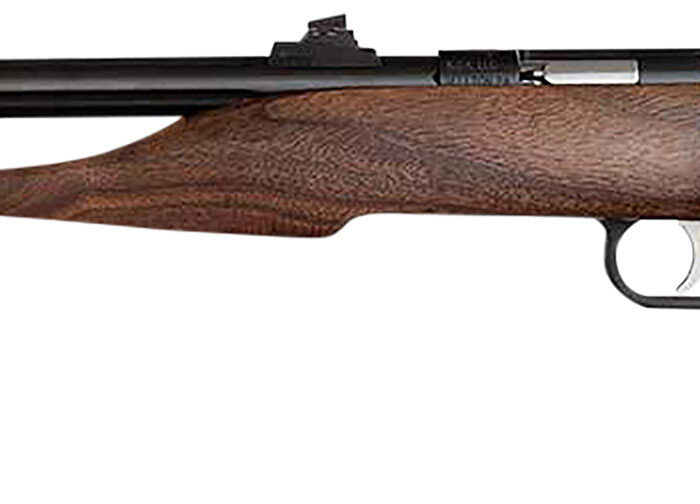 Chipmunk 40001 Hunter  Youth Frame 22 S/L/LR Single Shot 9" Threaded Blued Steel Barrel, Walnut Frame, EZ Loader