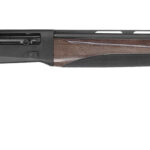 TriStar 20234 Raptor II 20 Gauge Semi-Auto 3" 5+1 28" Black Vent Rib Steel Barrel, Black Steel Receiver, Fixed Walnut Stock 1 173019
