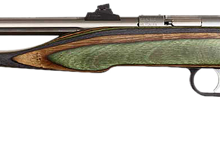 Chipmunk 41105 Hunter Adult 22 Mag 1rd 9" Threaded Stainless Steel Single Shot Barrel, Camo Laminate Stock