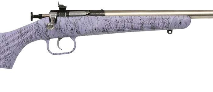 Crickett KSA2445 Gen2  Youth 22 LR 1rd 16.13" Stainless Single Shot Barrel, Stainless Steel Receiver, Purple w/Black Webbing Fixed Synthetic Stock
