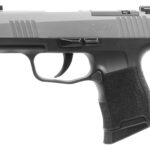 Sig Sauer 3659SXR3P P365X Micro-Compact Frame 9mm Luger 10+1 3.10" Steel Barrel, Stainless Steel Optic Ready/Serrated Slide, Black Stainless Steel Frame w/Accessory Rail, Polymer Grip 2 183884