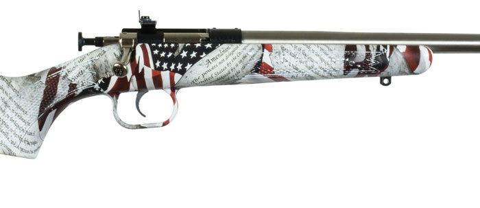Crickett KSA3168 Youth  22 LR 1rd 16.12" Stainless Steel Barrel, Fixed Front/Adjustable Rear Peep Sights, American Flag/Amendment Synthetic Stock w/11.5" LOP, Rebounding Firing Pin Safety
