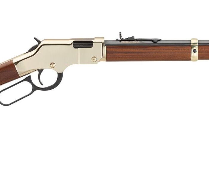 HENRY REPEATING ARMS GOLDEN BOY LEVER 22MAG BL/WD
