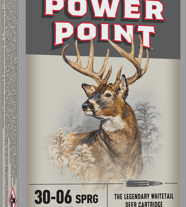 WINCHESTER SPR-X 30-06SPG 165GR PSP